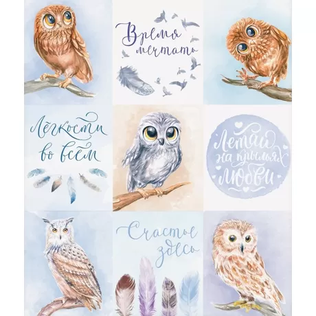 Наклейки «Совушки», 11×16 см, невырубные 250 г/м                                                                                                   .
