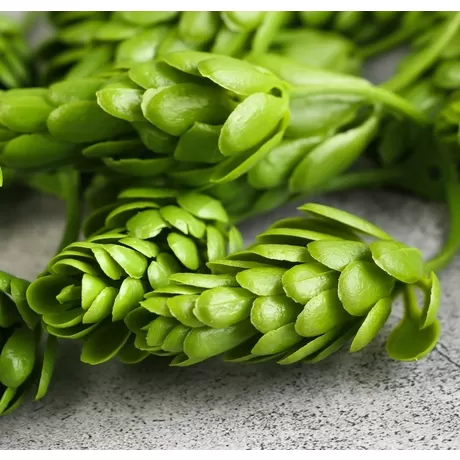 Декоративный хмель 6,5 см, зелёный