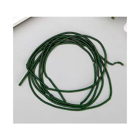 Канитель мягкая, гладкая, 1мм, глянец, насыщенно зеленый 5 гр