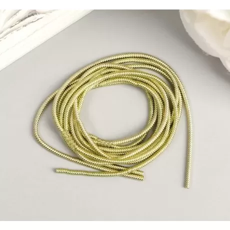 Канитель мягкая, гладкая, 1 мм, глянец, светлый лайм, 5 гр.