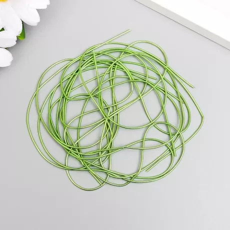 Канитель мягкая, гладкая, 0,7 мм, глянец, яркий лайм, 5 гр.